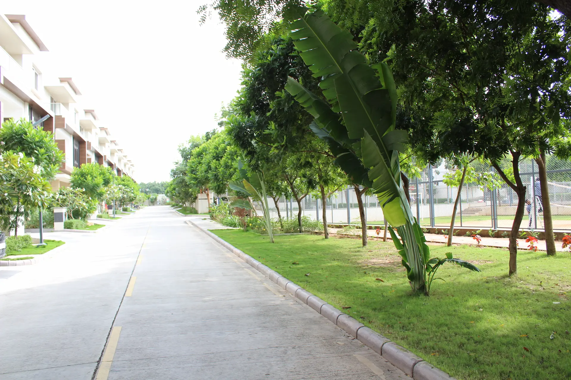 Step into the world of serenity